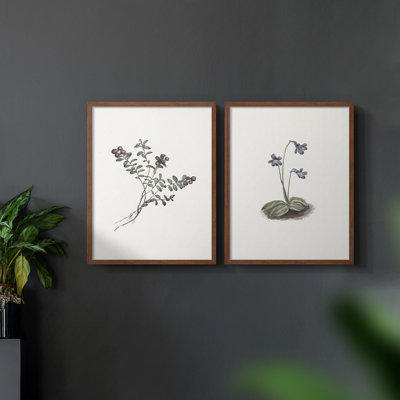 «Vintage Floral XXI», estampe numérique encadrée - ensemble de 2