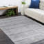 Sanam Striped Area Rug in Gray-1816063167