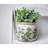 Adairsville Rustic Farmhouse Ceramic Plant Pots Tuscan Flower Pots with Drainage for Indoor Plants & Office Kitchen Decor-863701026