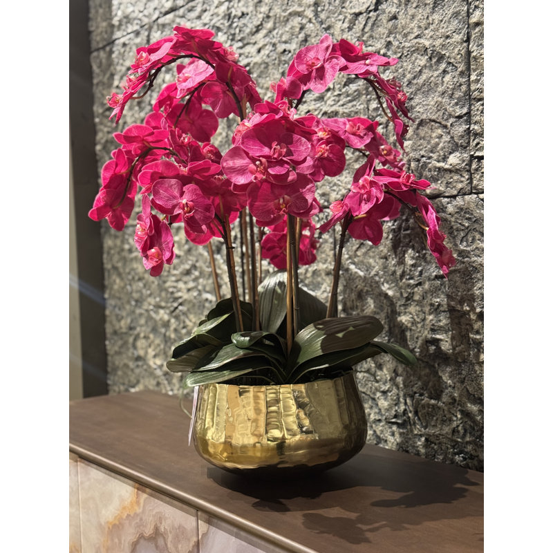Roberi bowl with multiple stems of white Phalaenopsis orchids, Pink, 38" H x 22" W x 22" D