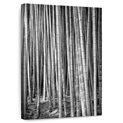 Alvord Thousand And One Bamboos