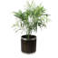Pot à fleurs en bois-36996082-36996081
