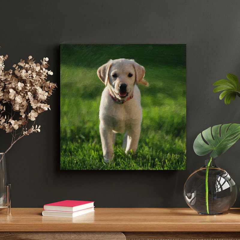 «Yellow Labrador Retriever Puppy» - Reproduction d'art graphique sur toile tendue 1 pièce, H 12 po x l 12 po