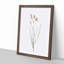 Amaryllis Flowers by Pierre-Joseph Redoute - Single Picture Frame Painting-55544746-55544745