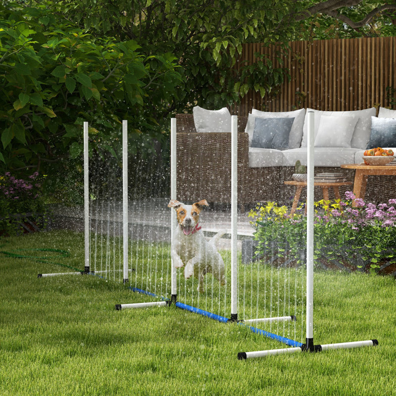 Entraînement efficace d'agilité de chien avec des poteaux de tissage, un tube d'eau, un sifflet, un sac de transport, une trousse pour l'extérieur