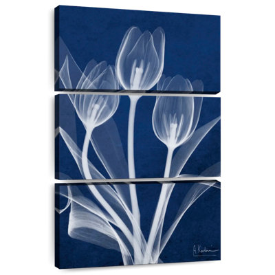 Harnek Magnificent Indigo Tulips