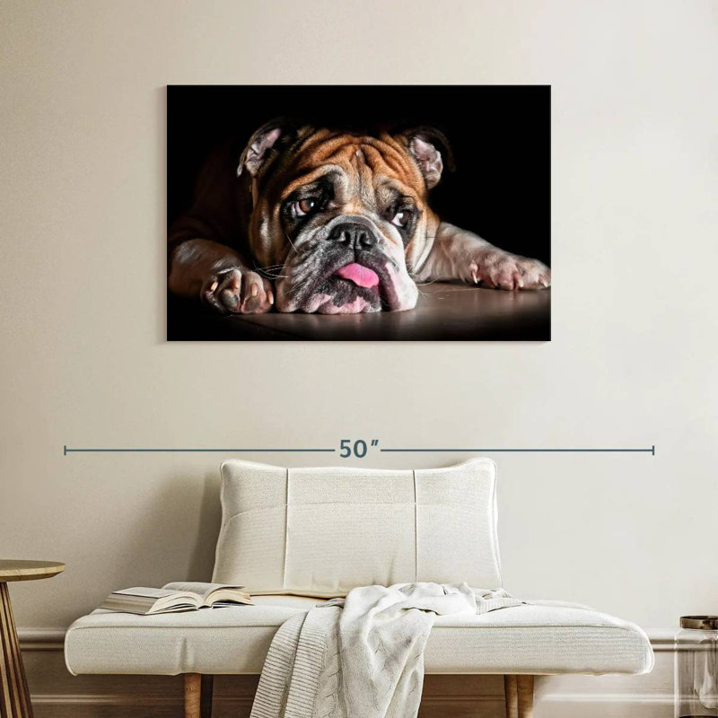 Sad Bulldog, 26" H x 39" W