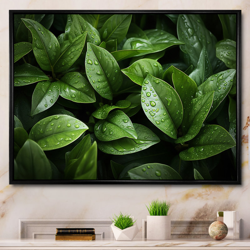 Champ de plantes vertes sur toile, H 24 po x l 32 po, Cadre flottant noir