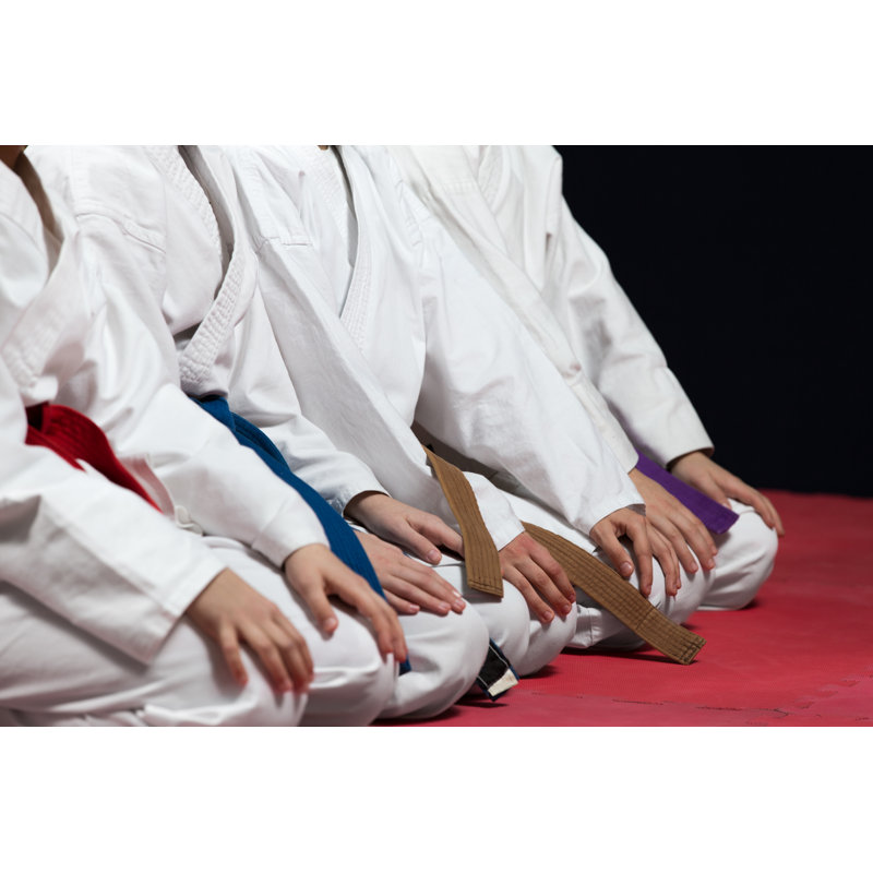 Karate Kids by Fakezzz - Wrapped Canvas Print, 30cm H x 46cm W x 3.8cm D