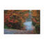 No Frame Print on Canvas-1886886037