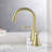 2-handle Bathroom Faucet with Drain Assembly-80810850