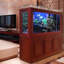 Aquarium 120-130 gallons-113506713-113506714
