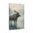 Aaroon Single Picture Frame Print on Canvas-145426724
