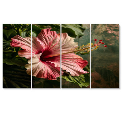 Hibiscus Tropical Flower Close-up In The Wild - Hibiscus Wall Art Decor Set 4 Piece