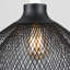 Sigmund 30cm H Metal Novelty Pendant Shade in Black-26661261