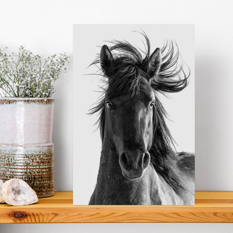 Print, 45.72cm H x 30.48cm W