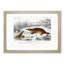 Platypus Illustration by Charles d' Orbigny - Picture Frame Painting Print-55601111-55601109