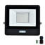 Amie-Leigh Flood Light