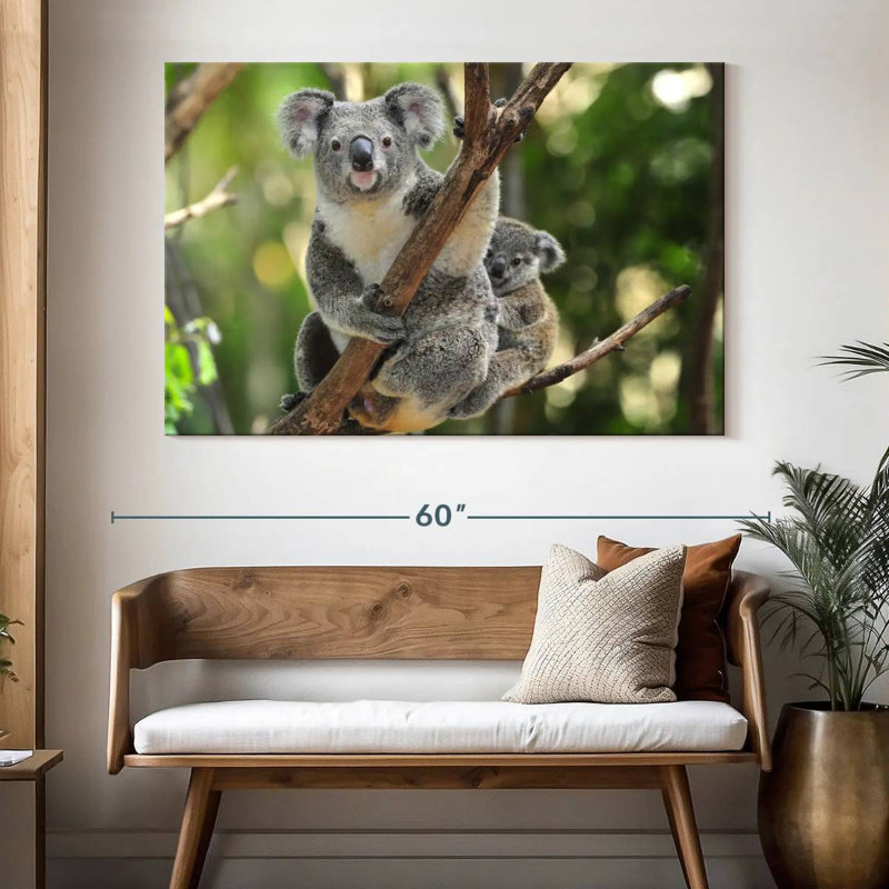 Australian Koala Bears, 34" H x 51" W
