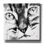 «Cat Face» par Pechane, art mural sur toile-1794281082