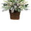 28 plantes