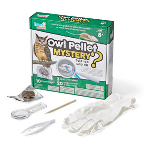 Jeu éducatif Owl