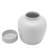 Handmade Ginger Jar-1615667065