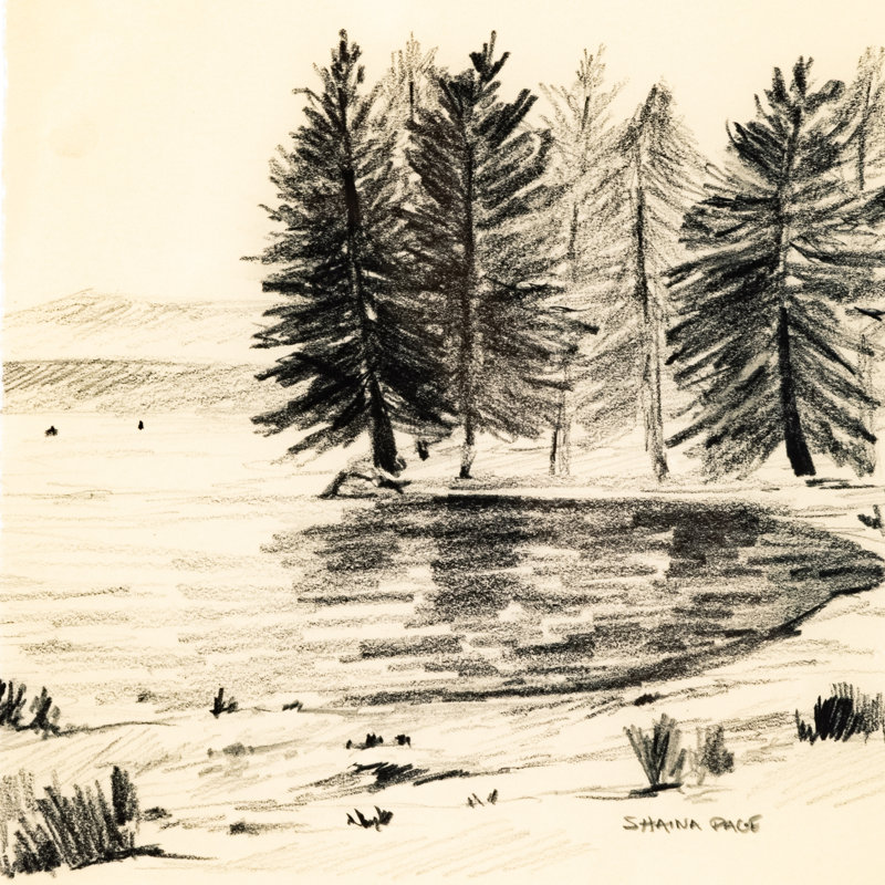 Serene I Print by Shaina Page