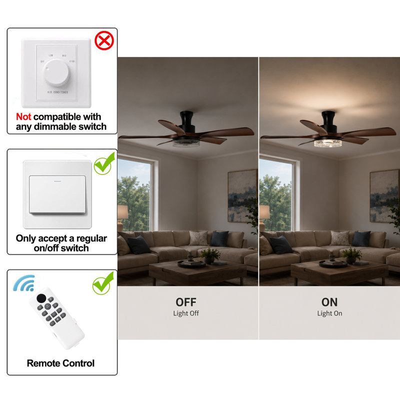 Ceiling Fan