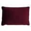Midnight Garden Floral Velvet Piped Cushion-61482864-61482863