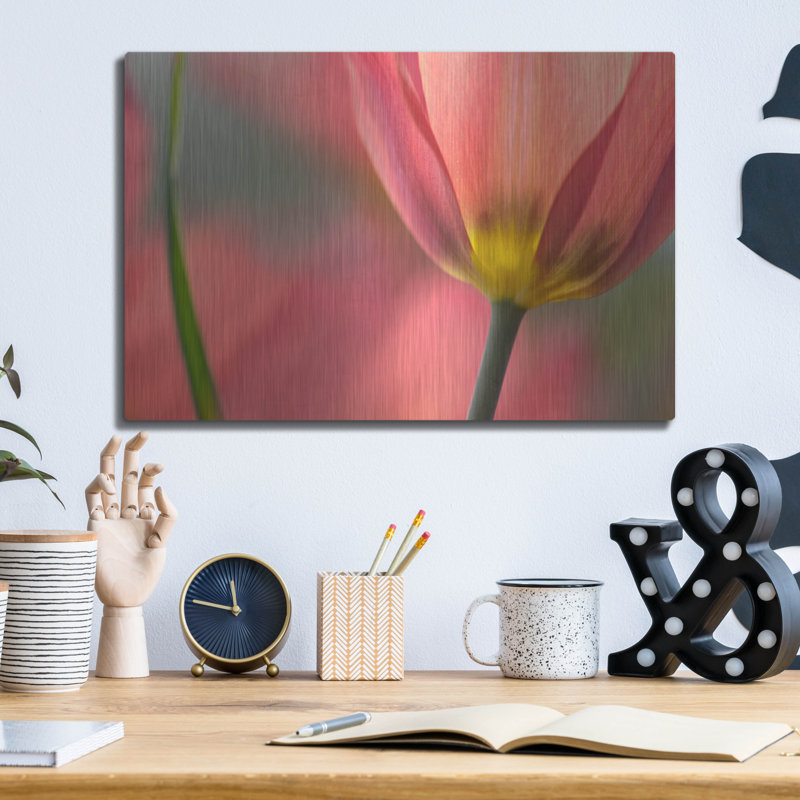 "Tulipa Planifolia" par Cora Niele, H 12 po x l 16 po