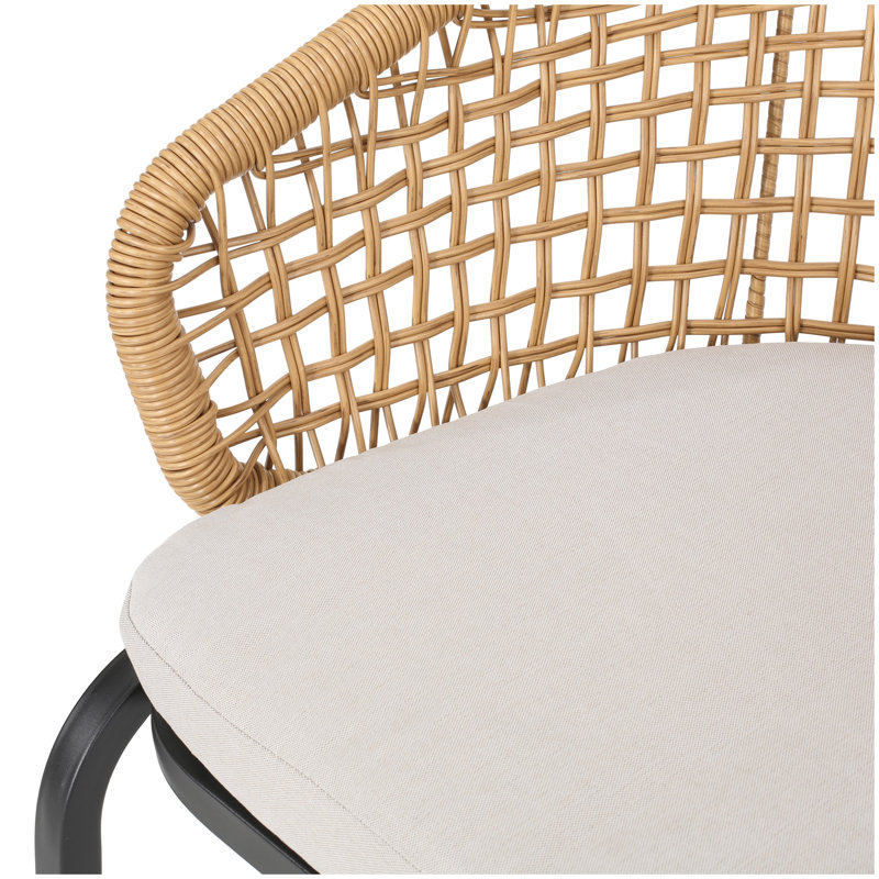 ARIAS CHAIR