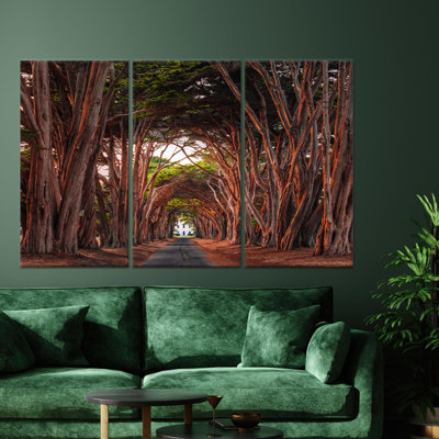 Art mural en verre Cypress Tree Tunnel: impression sur toile, toile tendue 3P