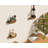 Emroy Wood Floating Shelf