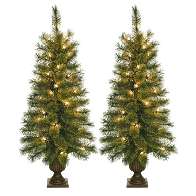 42' Lighted Pine Christmas Tree