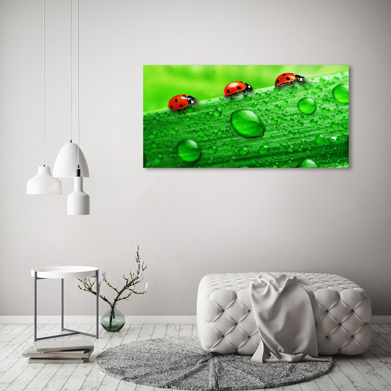 Ladybugs On The Grass - Wrapped Canvas Print