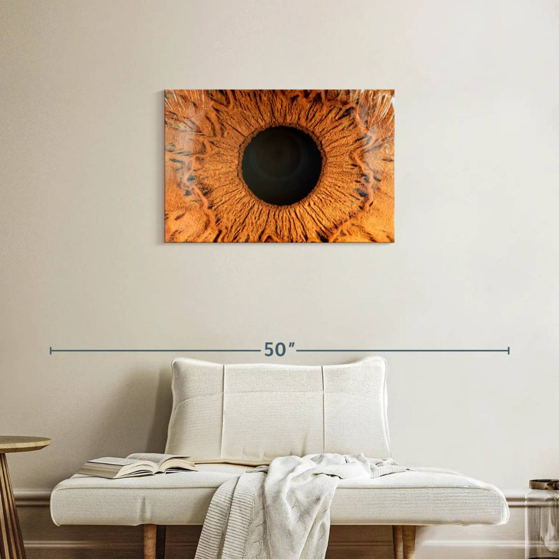Alcaraz Brown Iris, 20" H x 30" W