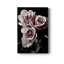 Rose noire I - photographie-1052664859-1052664858