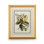 Butterfly Oasis IV Print