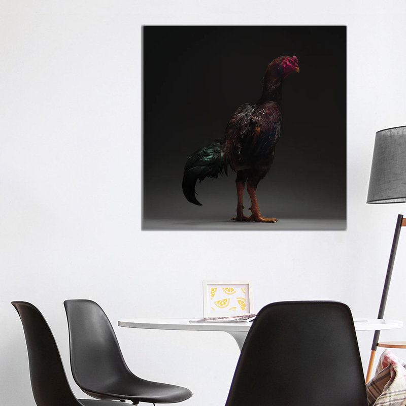 Ko Shamo - Wrapped Canvas Print, 93.98 cm H x 93.98 cm W x 3.175 cm D