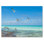 Seagulls Flying In Tropical Sea - Art mural sur toile nautique et côtier
