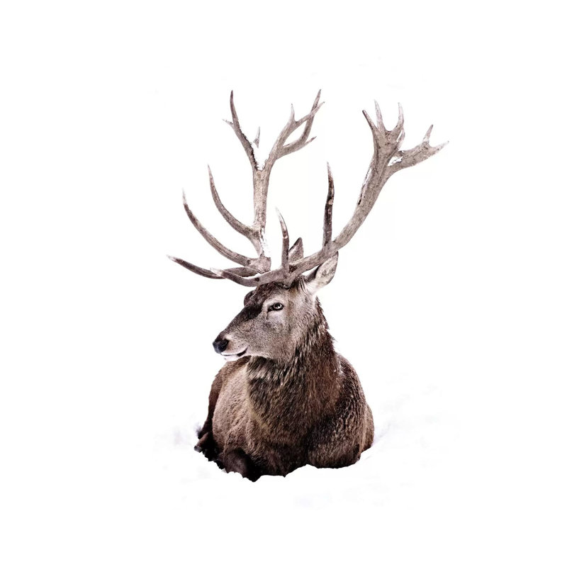 Stag In Snow II Square by Monika Strigel - Wrapped Canvas Painting, 30.48 cm H x 30.48 cm W