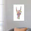 «Skeleton Hand» - reproduction-52366282-52366290