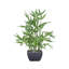Faux bambou en pot décoratif 18 po Millsaps-1040047371