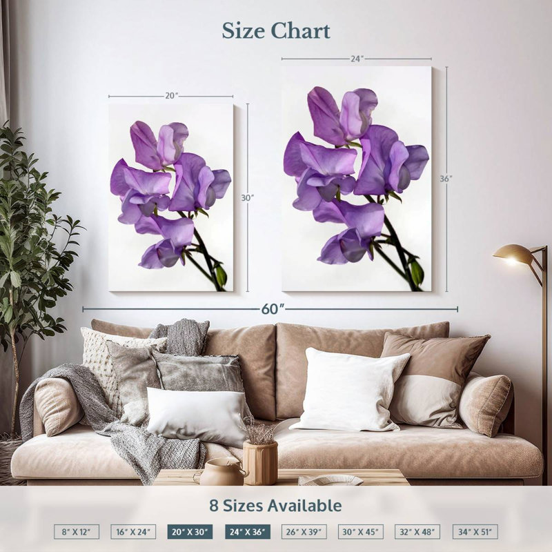 Fleurs de pois Harnek, H 36 po x l 24 po