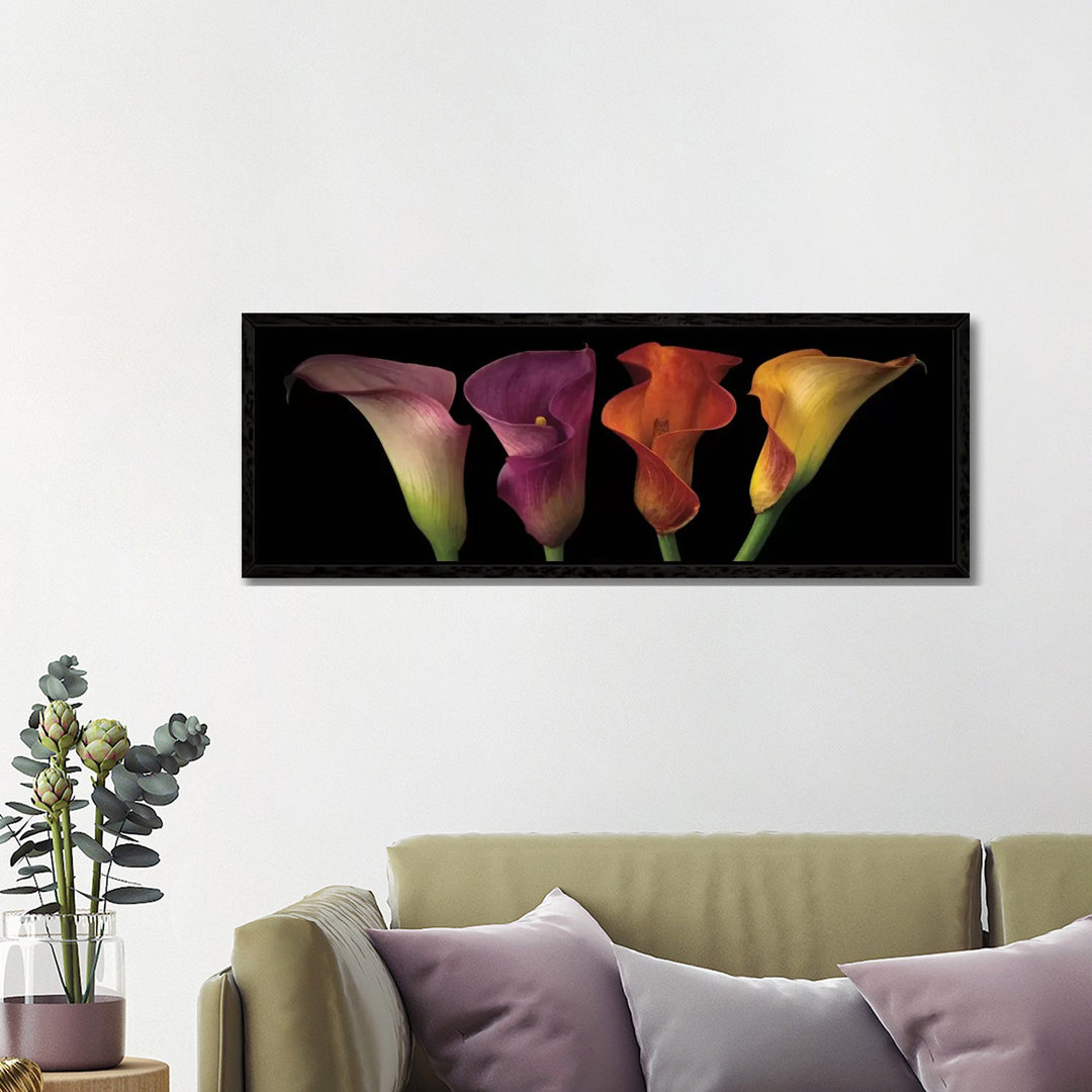 Leinwandbild Jewel Calla Lilies von Assaf Frank