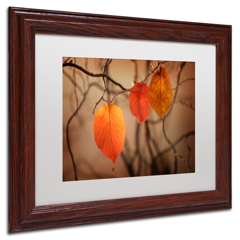«Leaves After Leaves», reproduction de photo sur toile mate, H 11 po x l 14 po x P 0,5 po