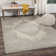 Ellicott Performance Oriental Rug