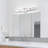 Charnessa Dimmable LED Vanity Light 3000K/4000K/5000K CCT Adjustable-1603774433-1598792145
