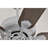 Praer Washed White 5-blade Lighted Ceiling Fan With Crystal Daisy Bouquet Shade